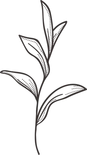 leafy plant icon
