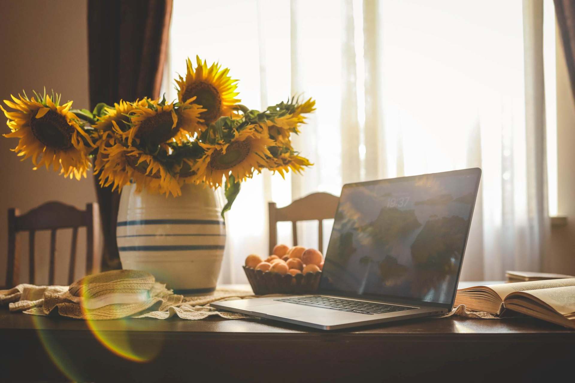 laptop and sunflowers